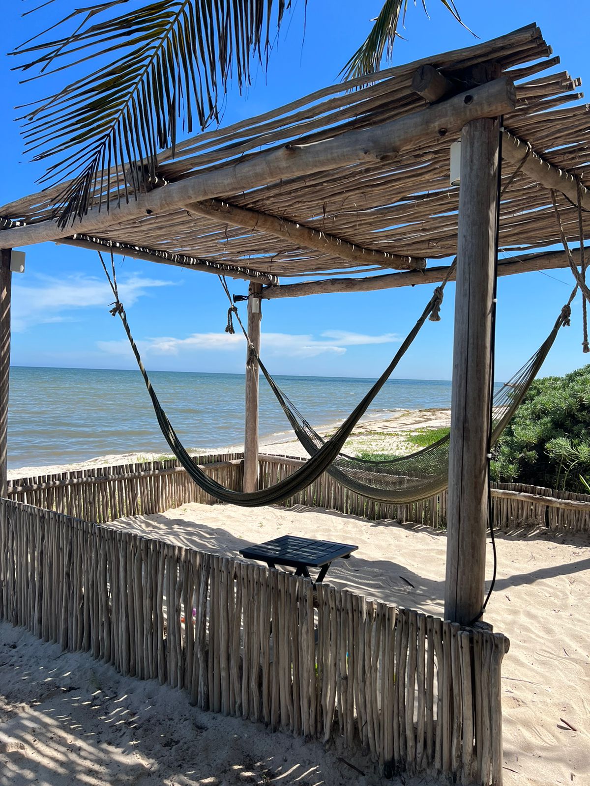 La Rana