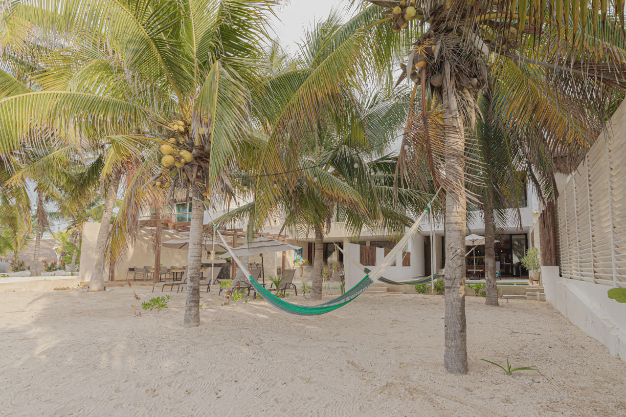 Casa Mita